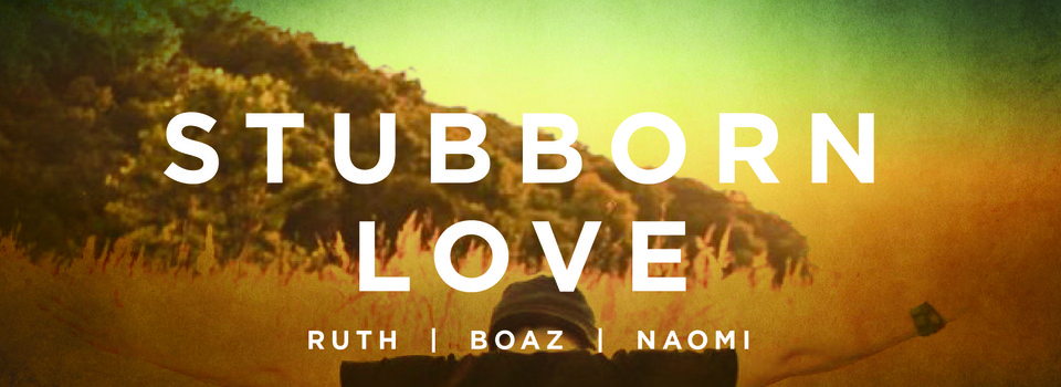 stubborn-love-lasalle-community-church